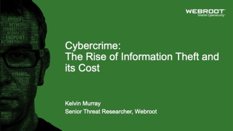 Cybercrime: The Rise Of Information Theft And Its Cost