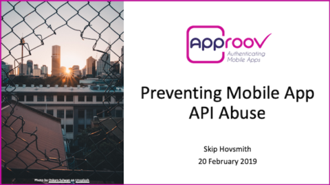 How to Prevent Mobile App API Abuse: Attacks and Counter-Measures