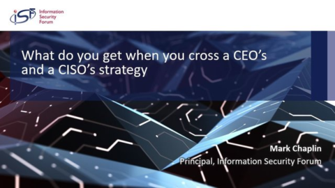 What do you get when you cross a CEO and a CISO’s strategy