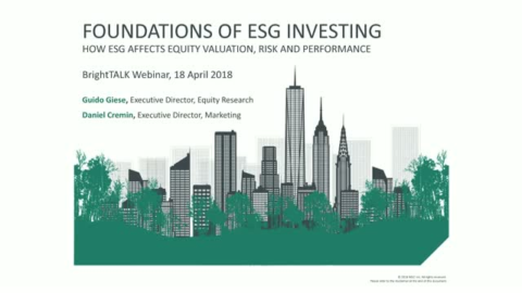How ESG Affects Equity Valuation, Risk and Performance