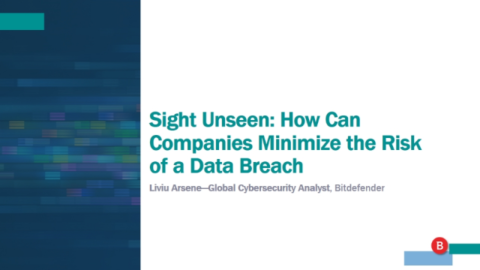 Sight Unseen: How Can Companies Minimize the Risk of a Data Breach