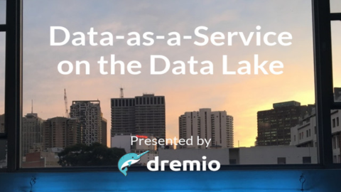 Data-as-a-Service on the Data Lake