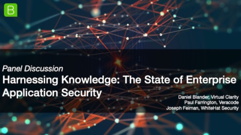 [Panel] Harnessing Knowledge: The State of Enterprise Application Security