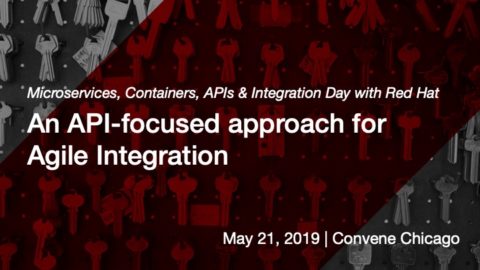 An API-focused approach for Agile Integration