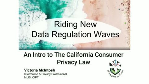 Riding New Data Regulation Waves: Intro to CCPA