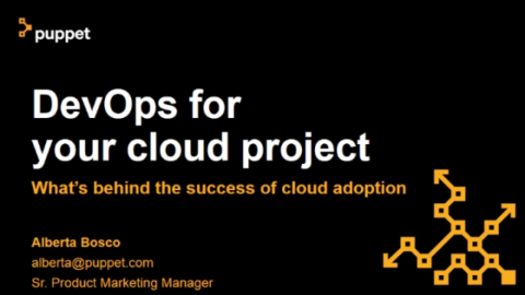DevOps for Your Cloud Project &#8211; What’s Behind the Success of Cloud Adoption?