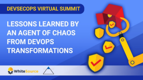 Lessons Learned by an Agent of Chaos From DevOps Transformations