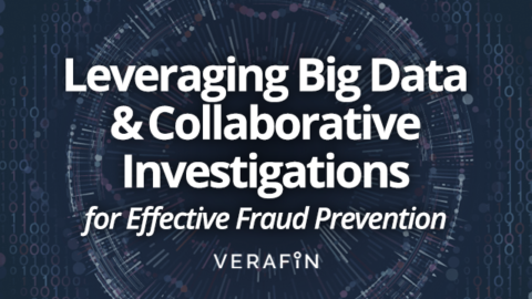 Fraud Prevention: Leveraging Big Data and Collaborative Investigations