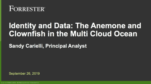 Identity and Data: The Anemone and Clownfish in the Multi Cloud Ocean
