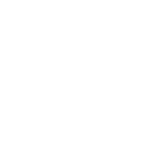 TCS – Business and Technology Services logo
