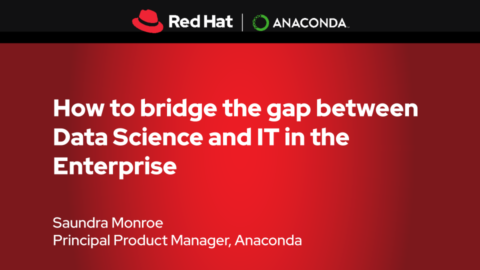 How to bridge the gap between Data Science and IT in the Enterprise