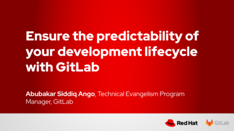 Ensure the predictability of your development lifecycle