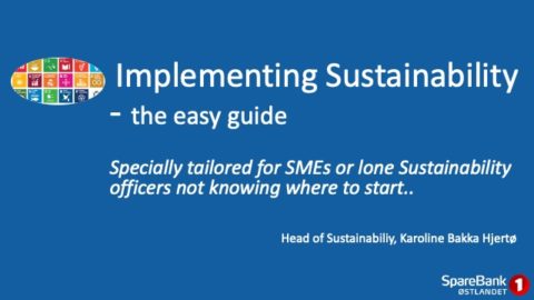 Implementing sustainability &#8211; the easy guide