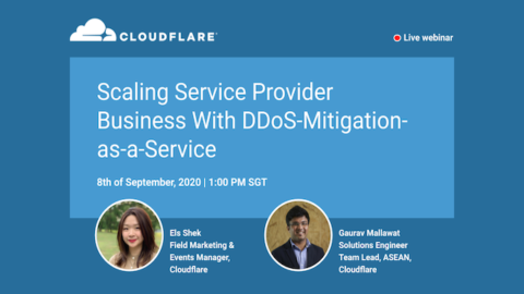 Scaling Service Provider Business With DDoS-Mitigation-as-a-Service