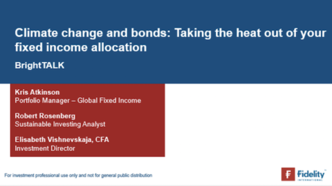 Climate change and bond portfolios