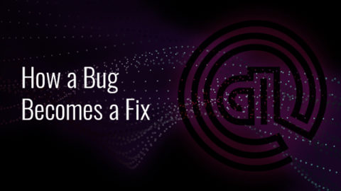 How A Bug Becomes A Fix (NOAM)