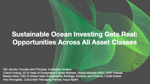 Sustainable Ocean Investing Gets Real: Opportunities Across All Asset Classes