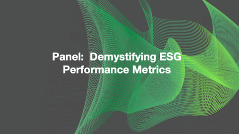 Demystifying ESG performance metrics