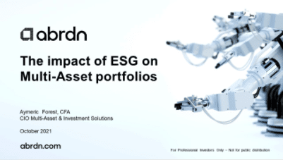 The impact of ESG on Multi-Asset portfolios