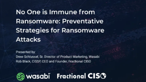 No One is Immune from Ransomware: Preventative Strategies for Ransomware Attacks